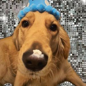 黄色免费在线看
