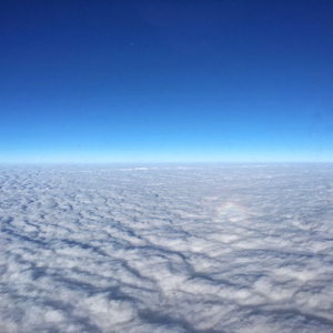 黄色免费在线看
